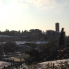 thumbs neve fori imperiali Cartoline dalla neve