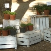 thumbs conserva 08 La conserva della neve a Villa Borghese
