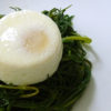 uovo in camicia02 100x100 Frittata alle carote